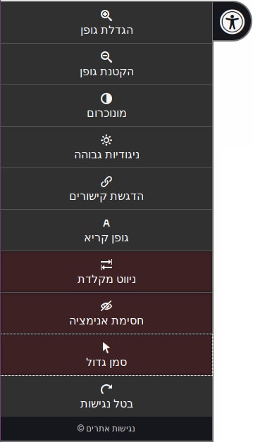 נגישות אתרים